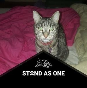 Meet your Posher, Kelly-anne